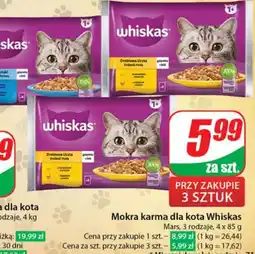 Dino Mokra karma dla kota Whiskas oferta