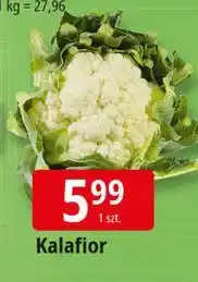 E.Leclerc Kalafior oferta