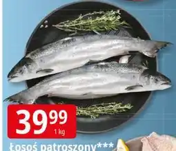 E.Leclerc Łosoś patroszony oferta