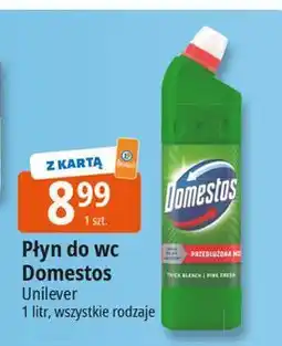 E.Leclerc Płyn do wc pine Domestos oferta