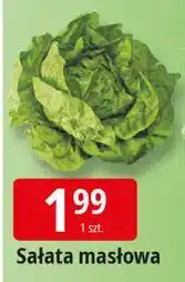 E.Leclerc Sałata masłowa oferta