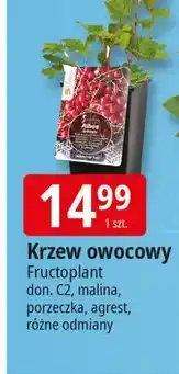 Agrest Fructoplant