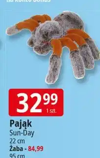 E.Leclerc Żaba 95 cm Sun-Day oferta