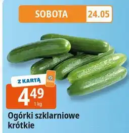 E.Leclerc Ogórek krótki szklarniowy oferta