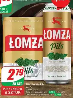 Dino Łomża Pils oferta