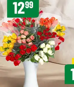 Polomarket Róże oferta