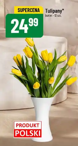 Polomarket Tulipany oferta
