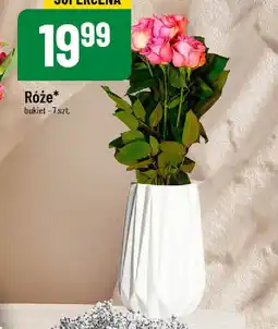 Polomarket Róże oferta