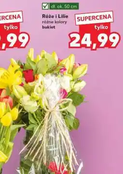 Kaufland Róże i lilie oferta