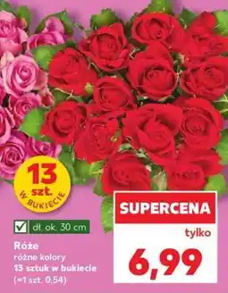 Kaufland Róże oferta