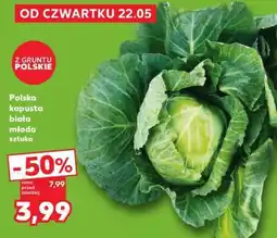 Kaufland Polska kapusta biała młoda sztuka oferta