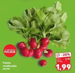 Kaufland Polska rzodkiewka pęczek oferta