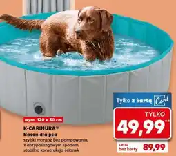 Kaufland K-CARINURA Basen dla psa oferta