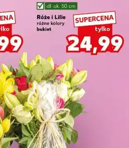 Kaufland Róże i lilie oferta