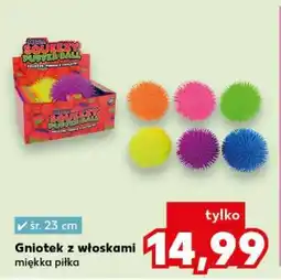 Kaufland Gniotek z włoskami oferta