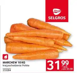 Selgros MARCHEW 10 KG oferta