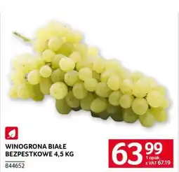Selgros Winogrona białe bezpestkowe 4,5 kg oferta