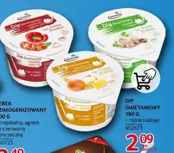 Selgros DIP ŚMIETANOWY 180 G oferta