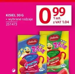 Selgros Kisiel 30 g oferta