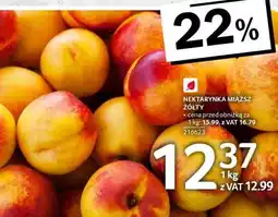 Selgros NEKTARYNKA MIĄŻSZ ŻÓŁTY oferta