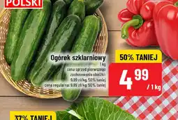 Polomarket Ogórek szklarniowy oferta