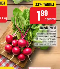 Polomarket Rzodkiewki oferta