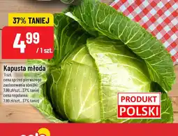 Polomarket Kapusta młoda oferta