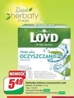 Dino Herbata ziołowa Loyd oferta