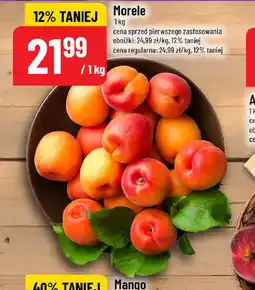 Polomarket Morele oferta
