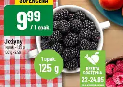 Polomarket Jeżyny oferta