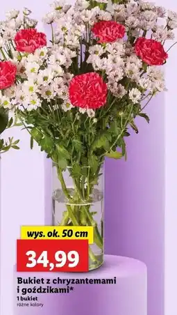 Lidl Bukiet z goździkami 50 cm oferta