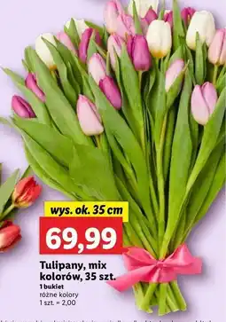 Lidl Tulipany 35 cm oferta