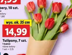 Lidl Tulipany bukiet 35 cm oferta