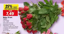 Lidl Róże oferta