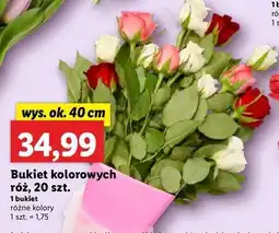 Lidl Bukiet róż 40 cm oferta
