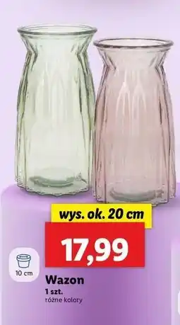 Lidl Wazon oferta