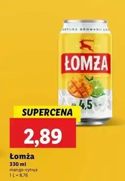 Lidl Piwo Łomża Mango Z Limonką oferta