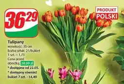 Dino Tulipan 35 cm oferta