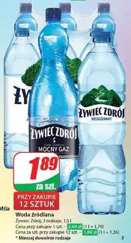 Dino Woda mocny gaz Żywiec Zdrój oferta