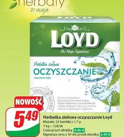 Dino Herbatka oczyszczanie Loyd Tea The Magic Experience oferta