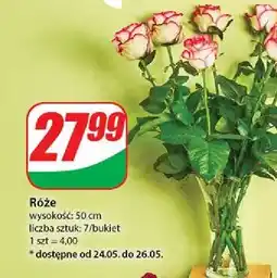 Dino Róża 50 cm oferta
