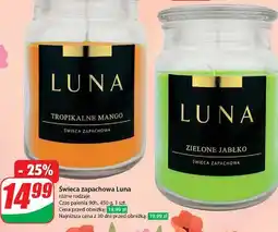 Dino Świeca zielone jabłko Luna oferta