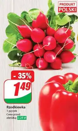 Dino Rzodkiew polska oferta