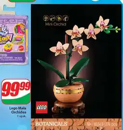 Dino Klocki 10343 Lego oferta