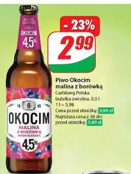 Dino Piwo Okocim Radler Malina Z Borówką Amerykańską oferta
