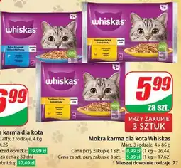 Dino Karma rybne przysmaki w galarecie Whiskas oferta
