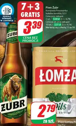 Dino Piwo Żubr 1768 oferta