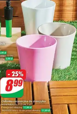 Dino Osłonka ceramiczna storczyk 13 cm oferta