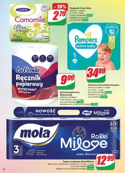Dino Podpaski camomile Carin oferta