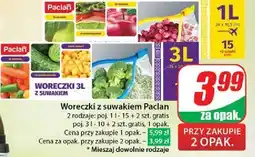 Dino Woreczki do żywności z suwakiem 3l Paclan oferta